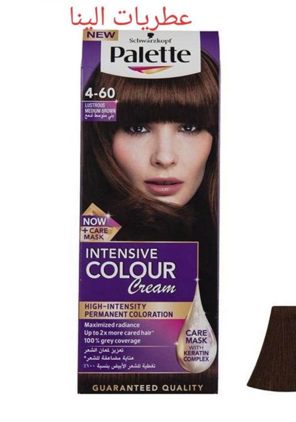 رنگ موی پالت شماره 60-4 palette Medium Brown